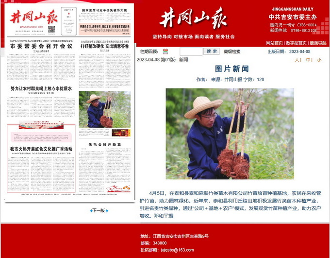 井岡山報新聞